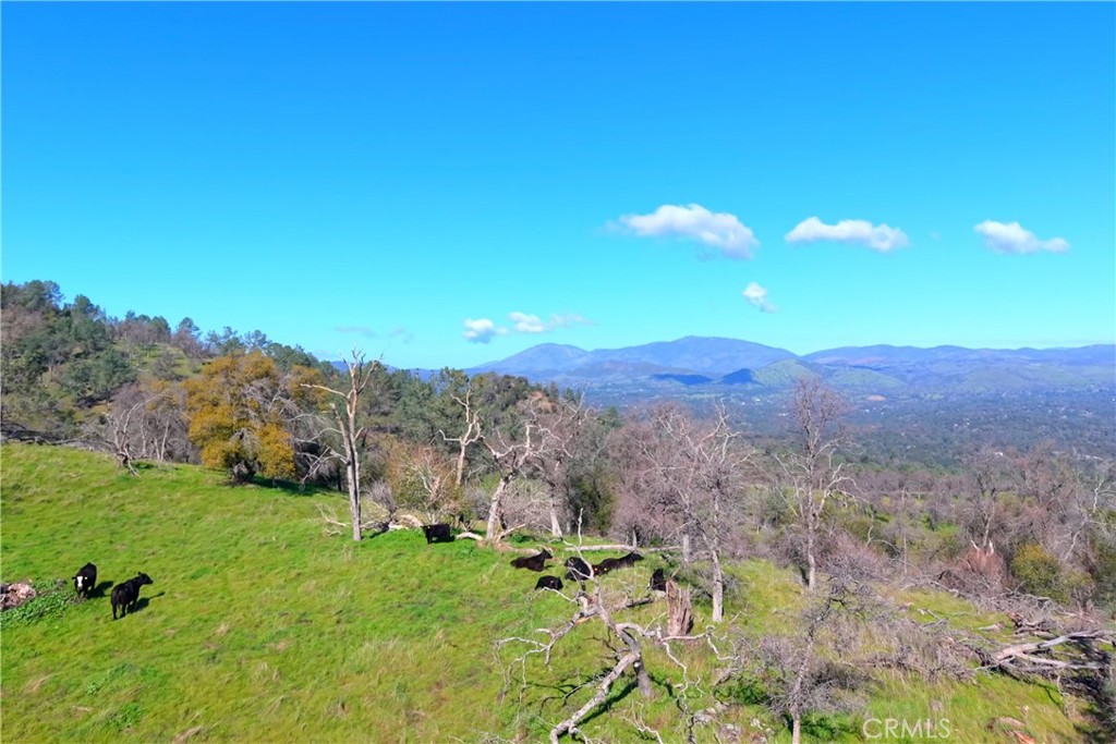 3729 Ben Hur Rd, Mariposa, CA 95338