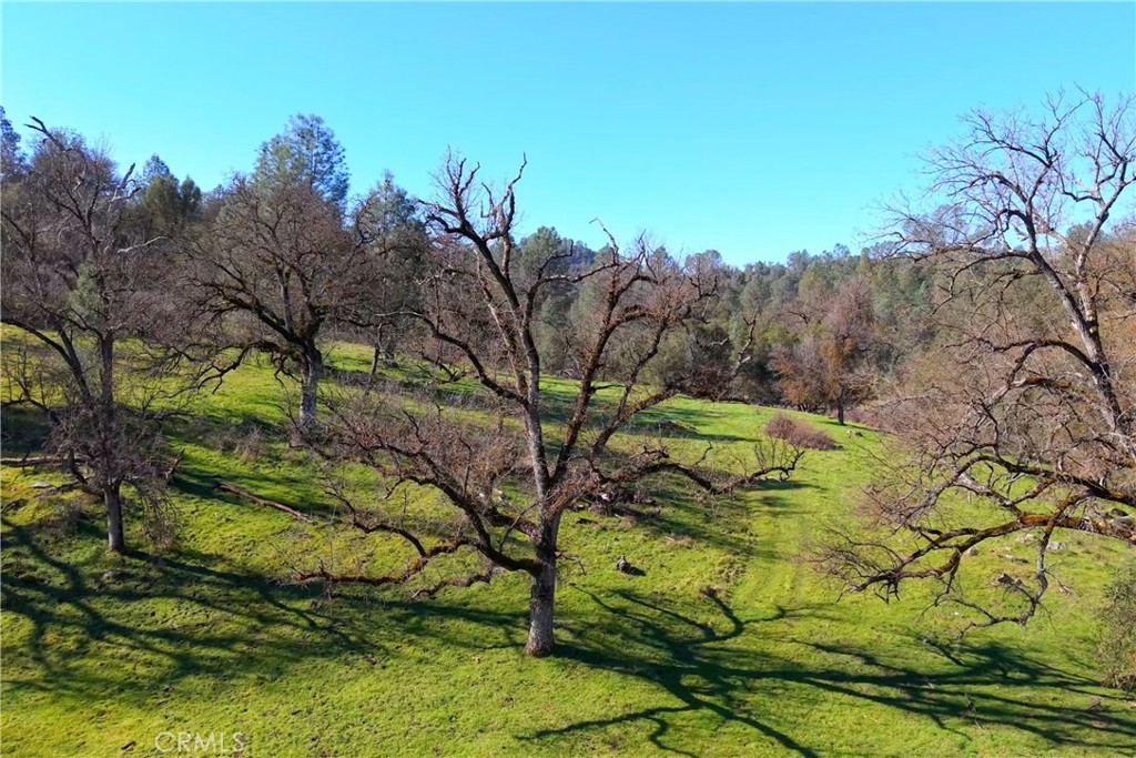 3729 Ben Hur Rd, Mariposa, CA 95338