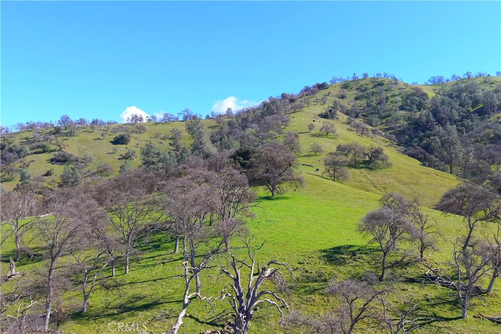 3729 Ben Hur Rd, Mariposa, CA 95338