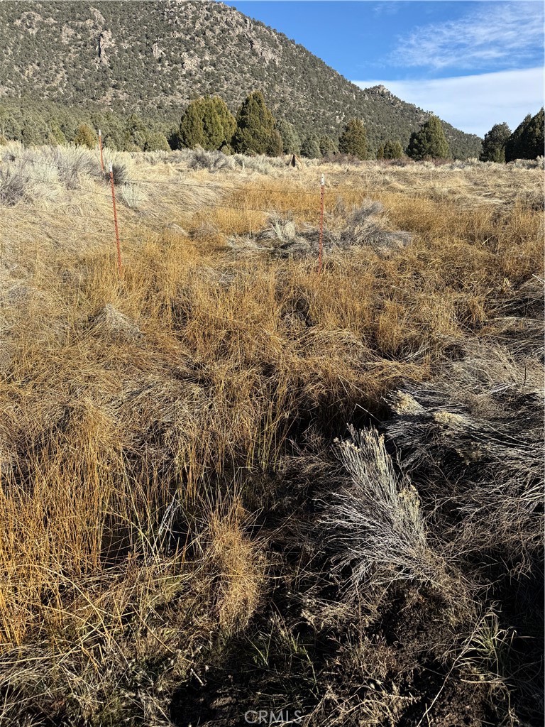 0 310-190-028 Sacatar Ranch Rd, Kennedy Meadows, CA 93527