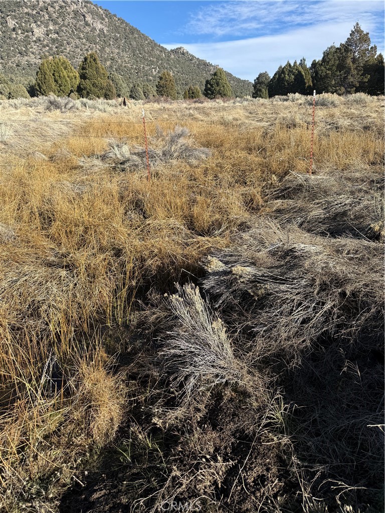 0 310-190-028 Sacatar Ranch Rd, Kennedy Meadows, CA 93527