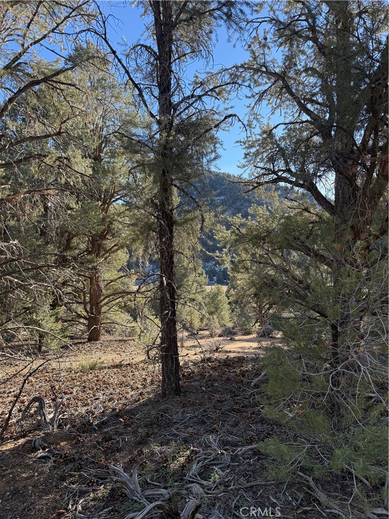 0 310-190-028 Sacatar Ranch Rd, Kennedy Meadows, CA 93527