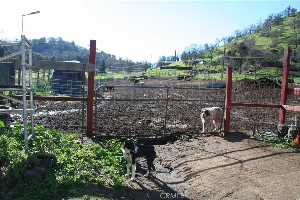 38290 38290 Roundtree Lane, Squaw Valley, CA 93675