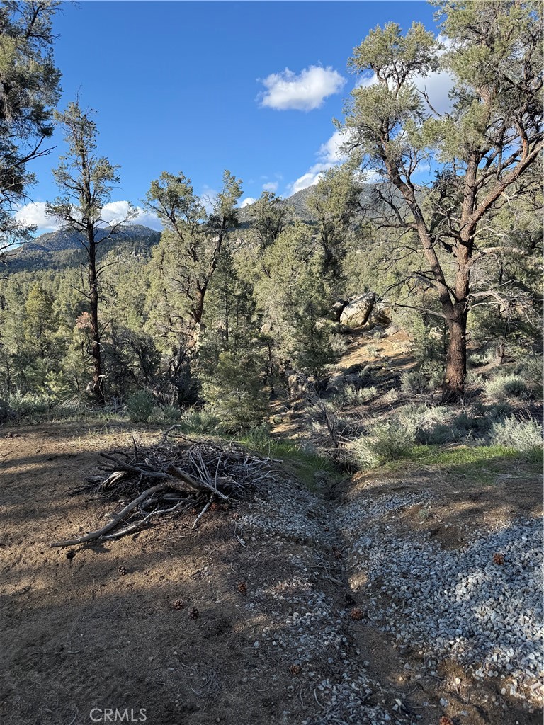96484 Kennedy Meadows Rd, Kennedy Meadows, CA 93527