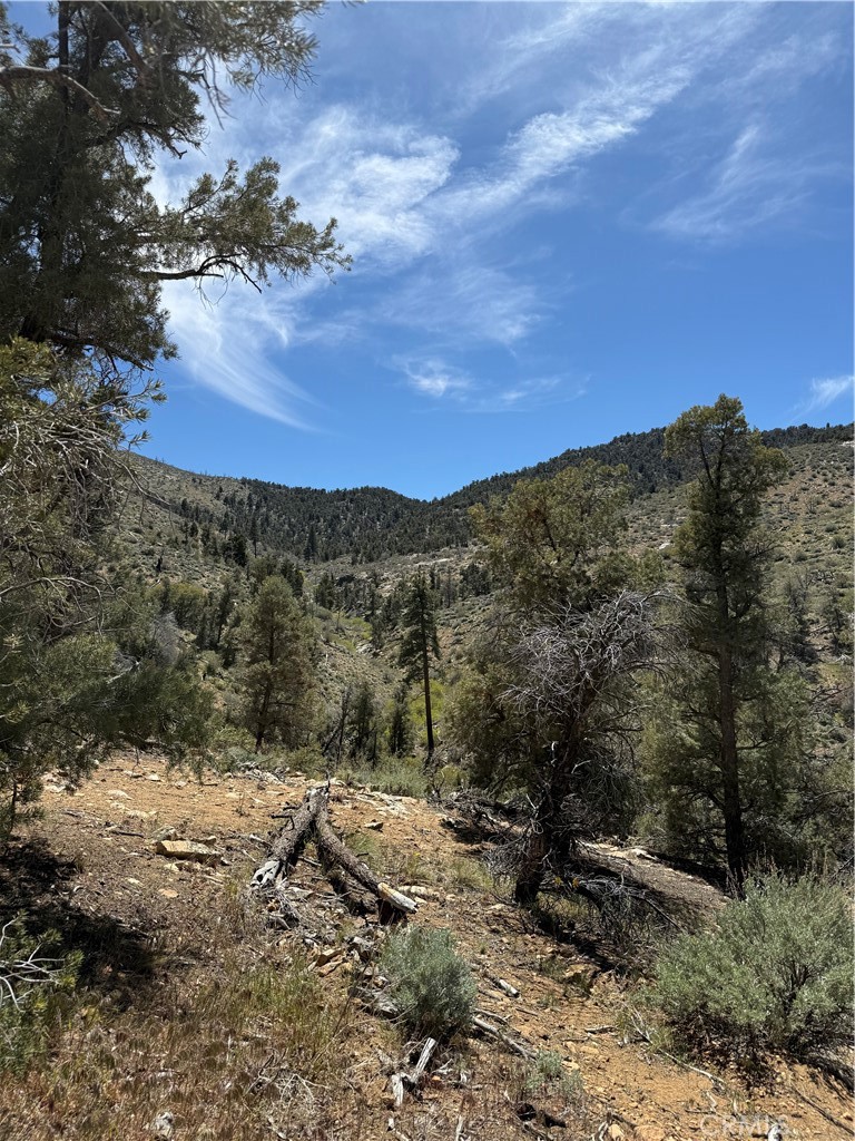 0 310-040-017 Pine Creek Valley Rd, Kennedy Meadows, CA 93527