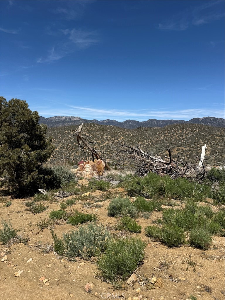 0 310-040-017 Pine Creek Valley Rd, Kennedy Meadows, CA 93527