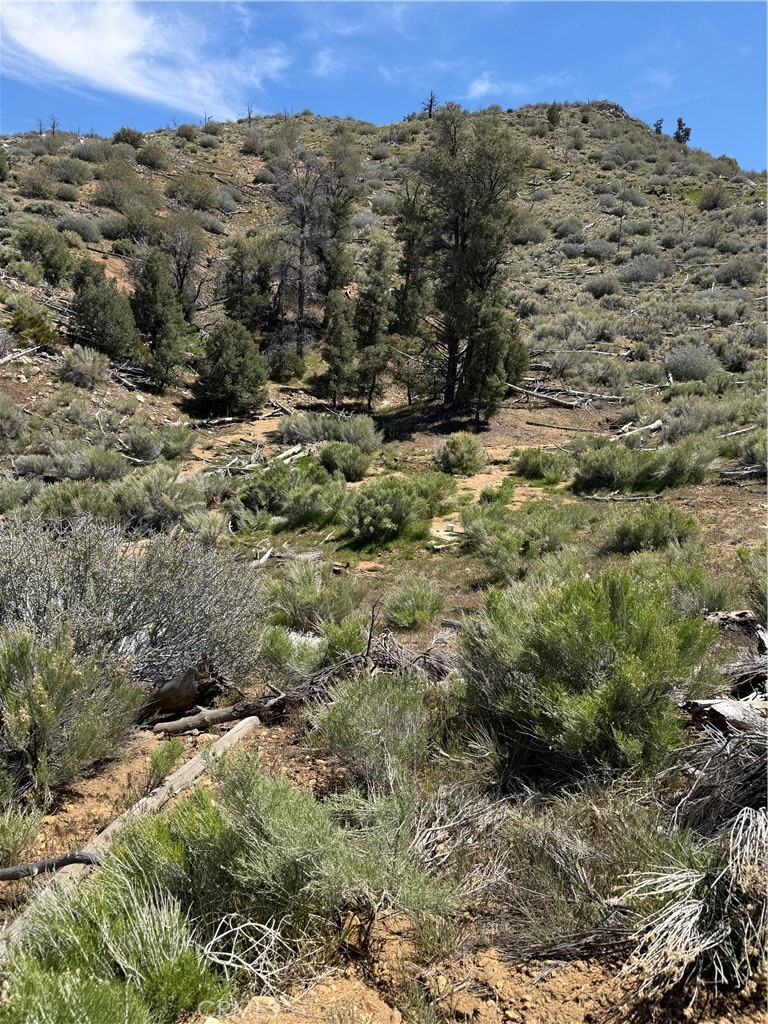0 310-040-017 Pine Creek Valley Rd, Kennedy Meadows, CA 93527