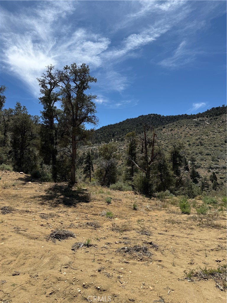 0 310-040-017 Pine Creek Valley Rd, Kennedy Meadows, CA 93527