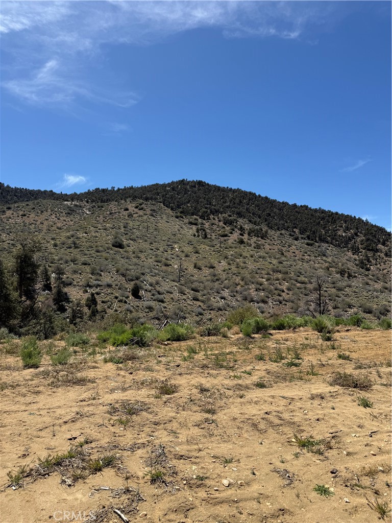 0 310-040-017 Pine Creek Valley Rd, Kennedy Meadows, CA 93527