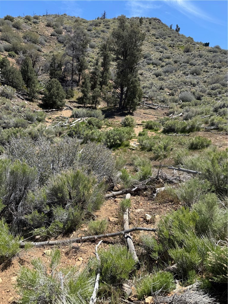 0 310-040-017 Pine Creek Valley Rd, Kennedy Meadows, CA 93527