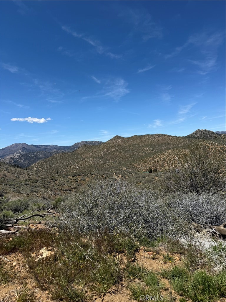 0 310-040-017 Pine Creek Valley Rd, Kennedy Meadows, CA 93527