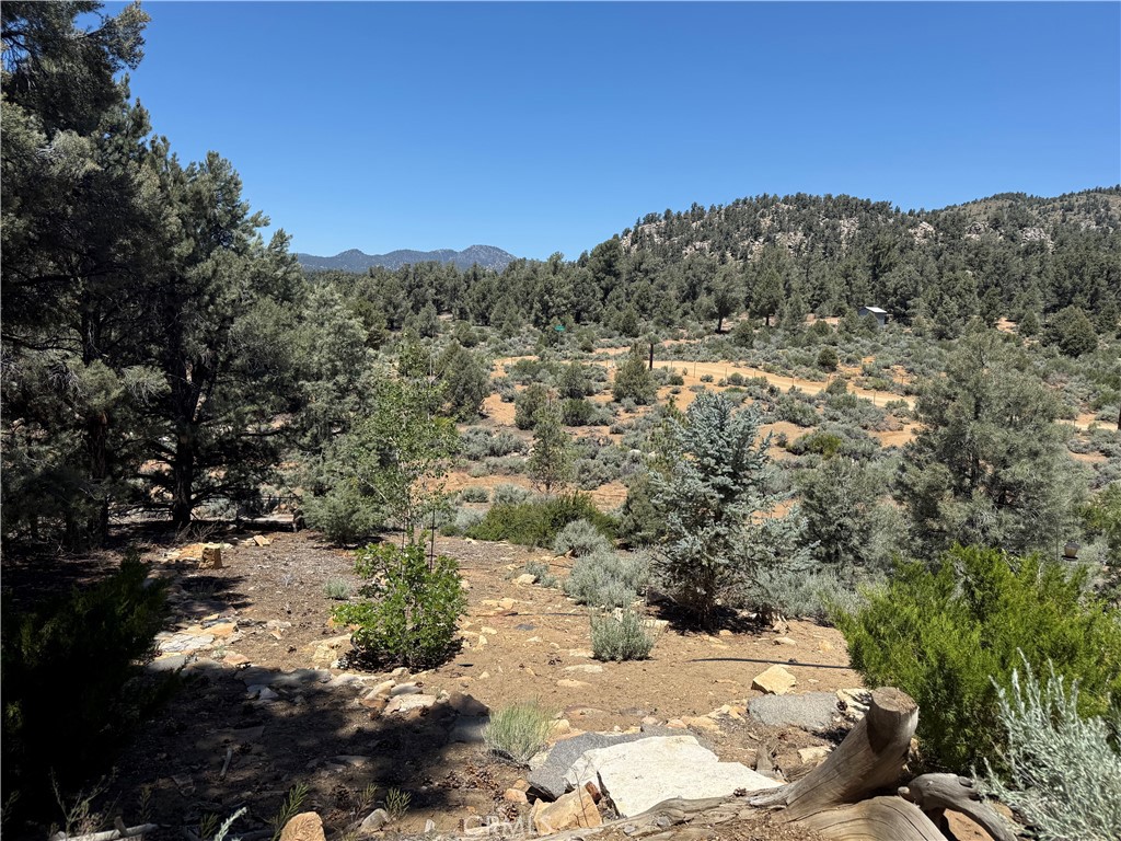 98417 Sierra Meadows Rd, Kennedy Meadows, CA 93527
