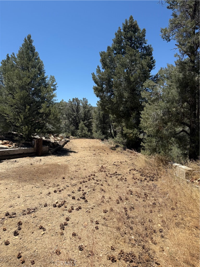 98417 Sierra Meadows Rd, Kennedy Meadows, CA 93527