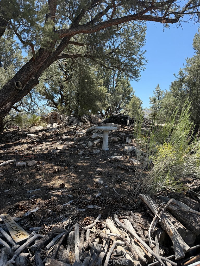 98417 Sierra Meadows Rd, Kennedy Meadows, CA 93527