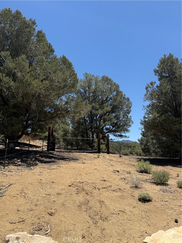 98417 Sierra Meadows Rd, Kennedy Meadows, CA 93527