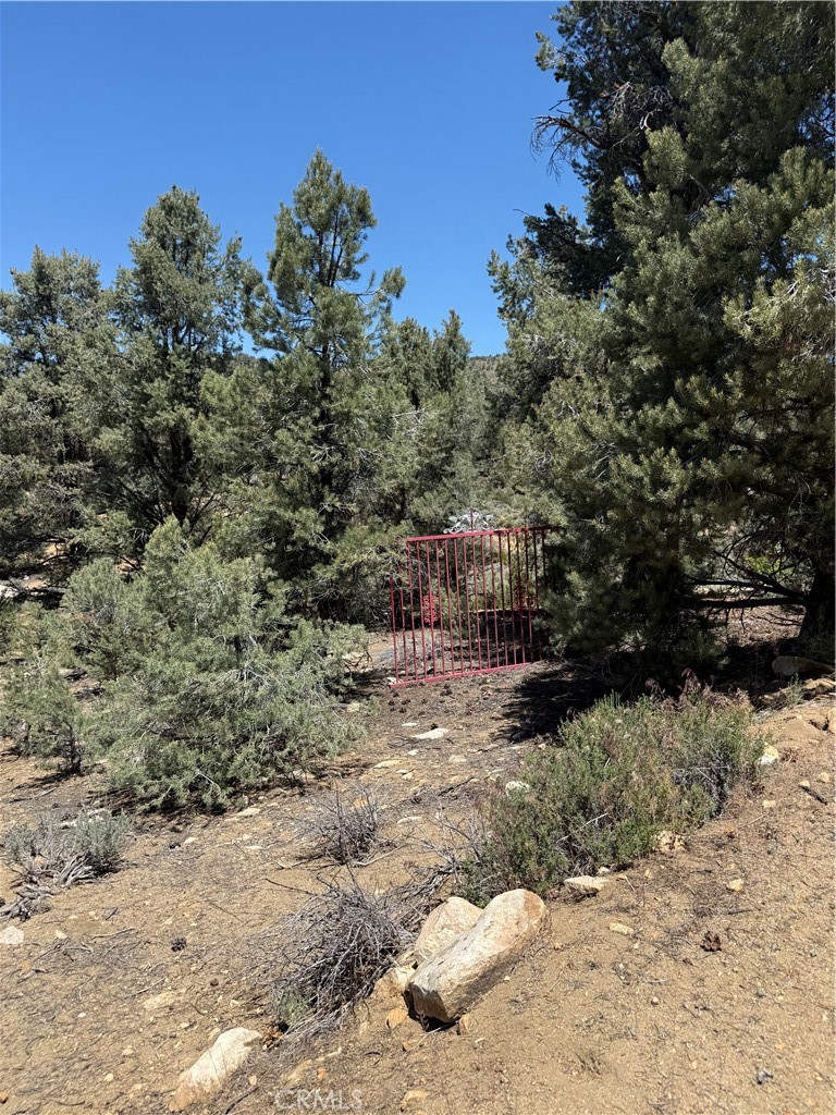 98417 Sierra Meadows Rd, Kennedy Meadows, CA 93527
