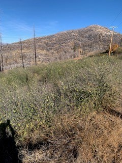 0 Solitude Lane, Shaver Lake, CA 93664