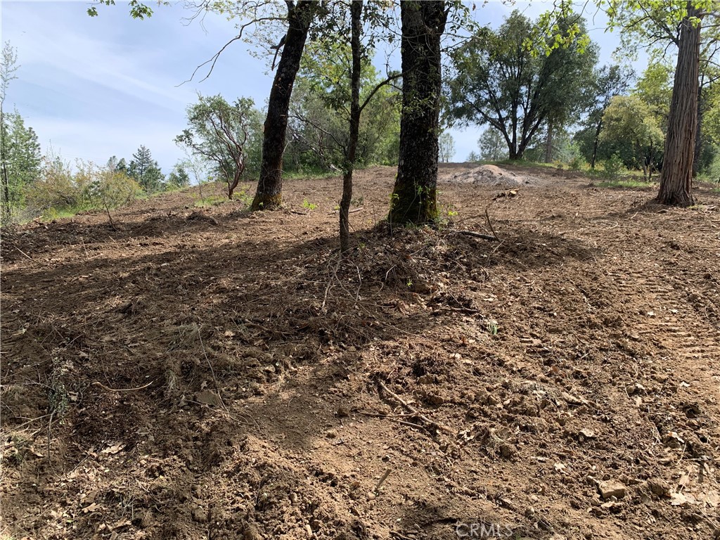 222 Rd 222, Oakhurst, CA 93644