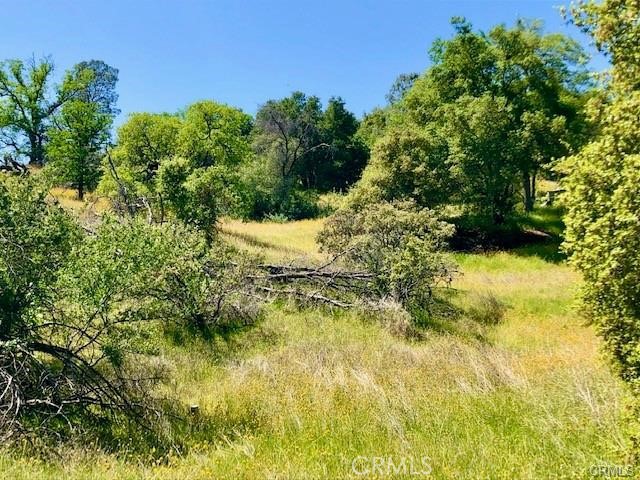 0 N Dome Dr, Coarsegold, CA 93614