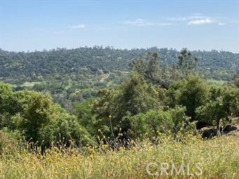 0 N Dome Dr, Coarsegold, CA 93614
