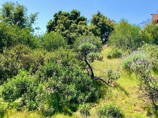 0 N Dome Dr, Coarsegold, CA 93614