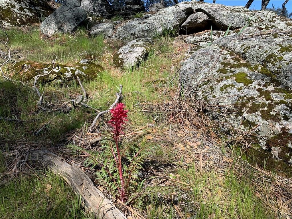 123 Quartz Mountain, Coarsegold, CA 93614