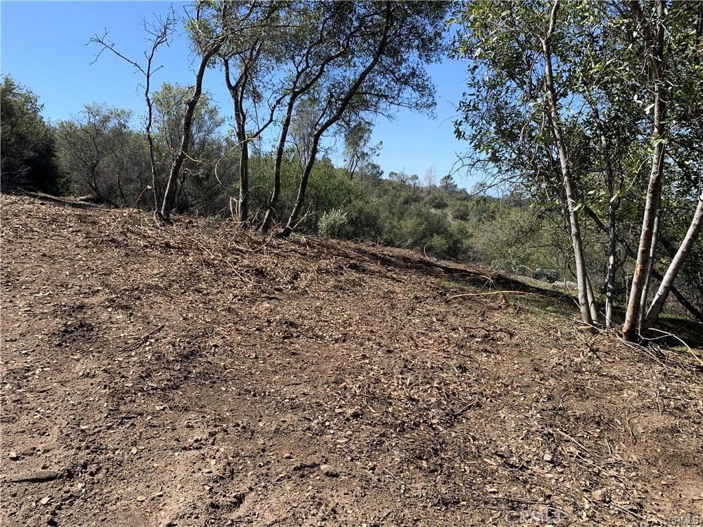 1234 Quartz Mountain, Coarsegold, CA 93614