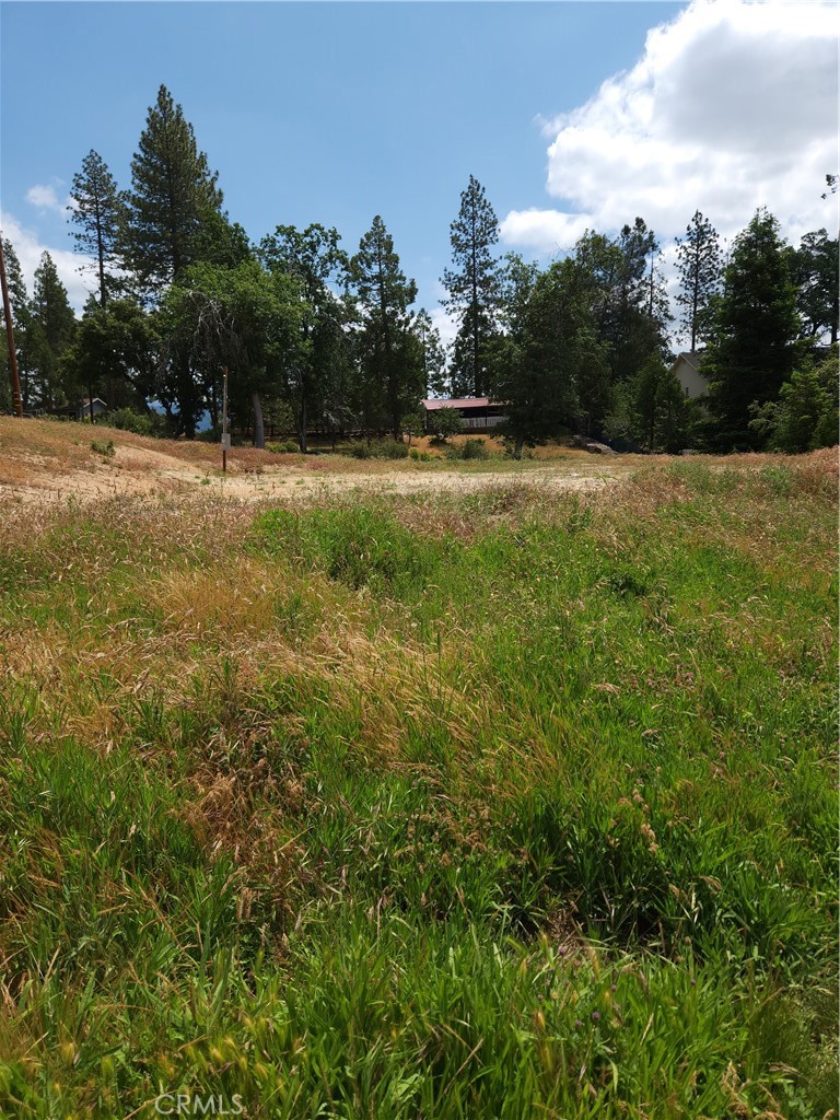 52830 Pine Dr, Oakhurst, CA 93644