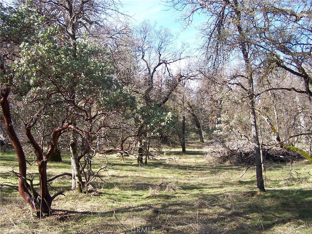 1 Jean Rd West