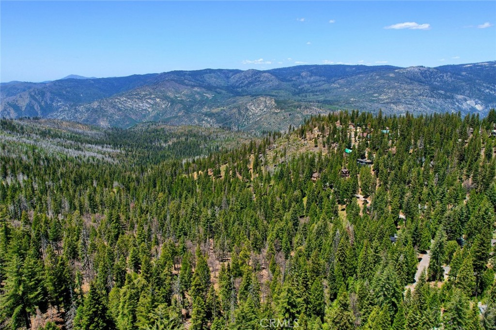 7400 Choke Cherry Ln, Yosemite, CA 95389