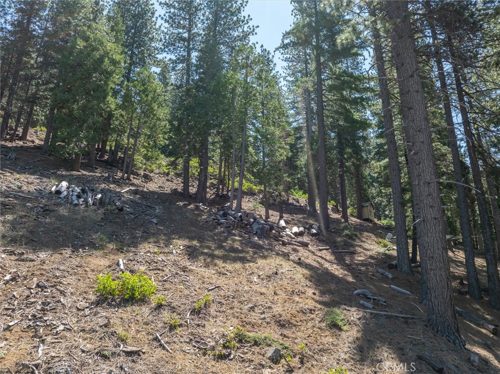 7343 Yosemite Park Way, Yosemite, CA 95389