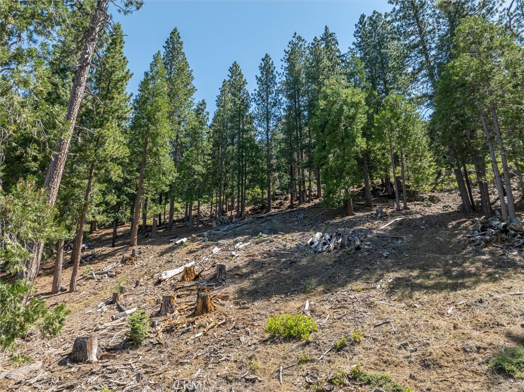 7343 Yosemite Park Way, Yosemite, CA 95389