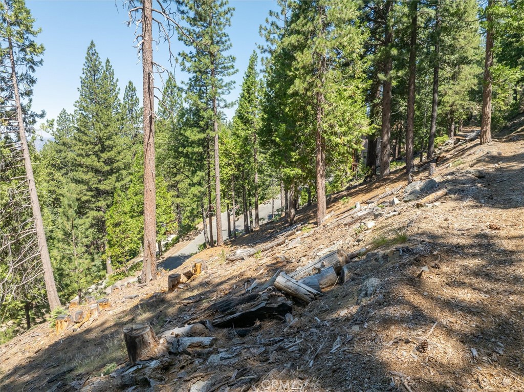 7343 Yosemite Park Way, Yosemite, CA 95389