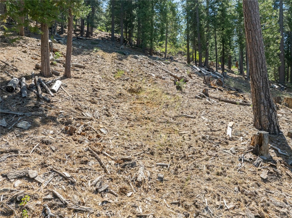 7343 Yosemite Park Way, Yosemite, CA 95389