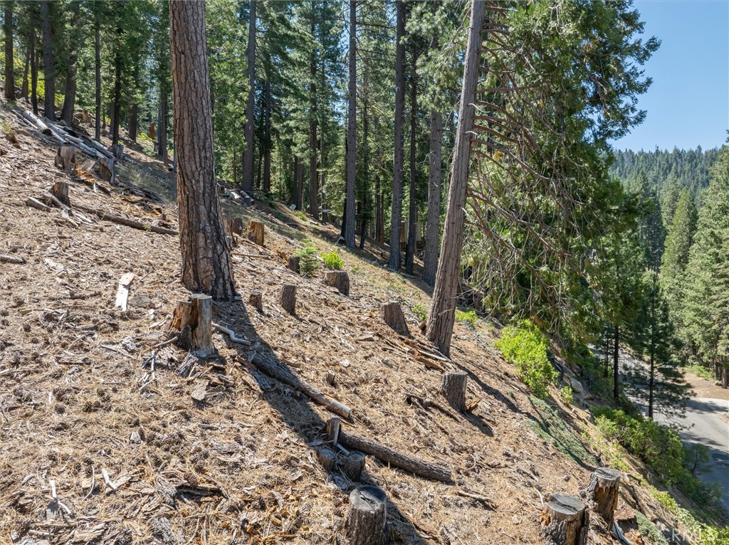 7343 Yosemite Park Way, Yosemite, CA 95389