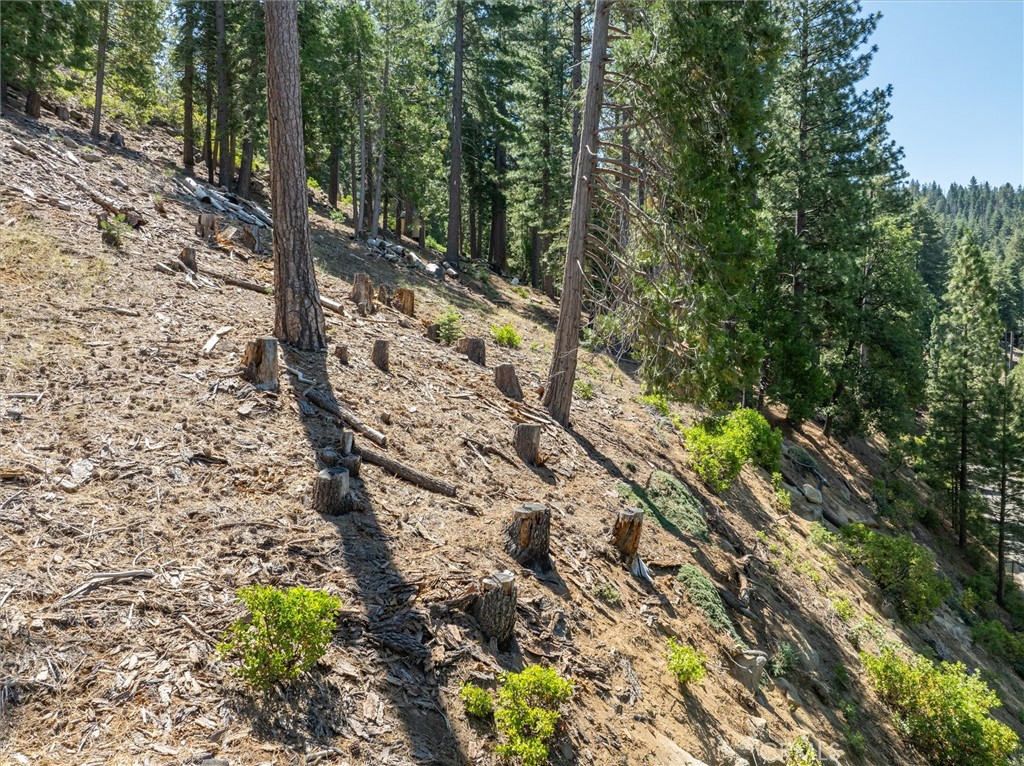 7343 Yosemite Park Way, Yosemite, CA 95389