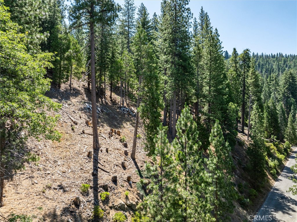 7343 Yosemite Park Way, Yosemite, CA 95389