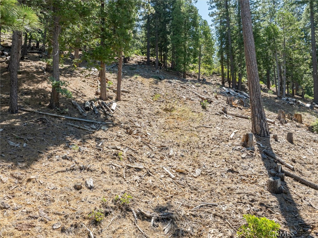 7343 Yosemite Park Way, Yosemite, CA 95389