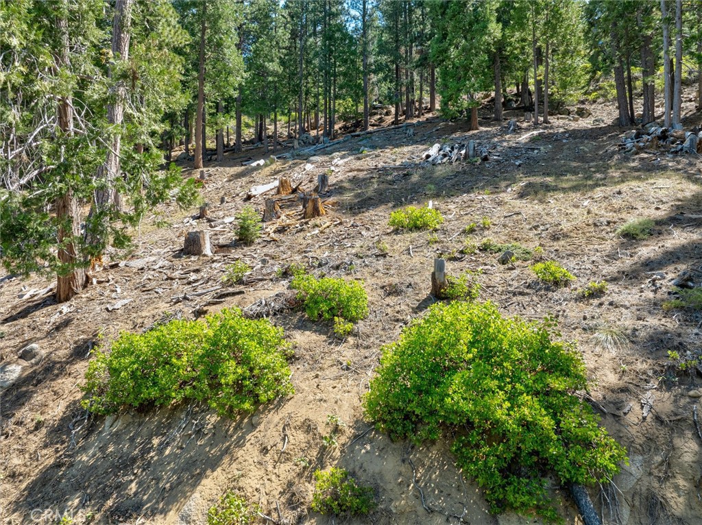 7343 Yosemite Park Way, Yosemite, CA 95389