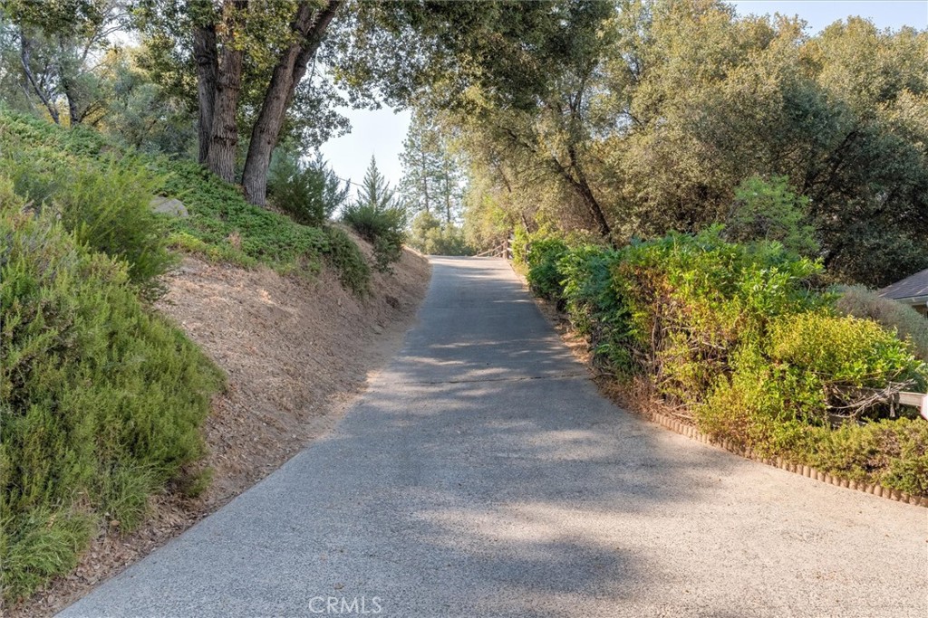 39309 Forest Park Ln, Oakhurst, CA 93644