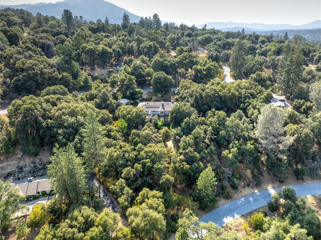 39309 Forest Park Ln, Oakhurst, CA 93644