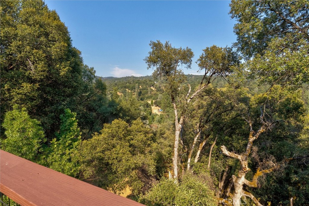 39309 Forest Park Ln, Oakhurst, CA 93644