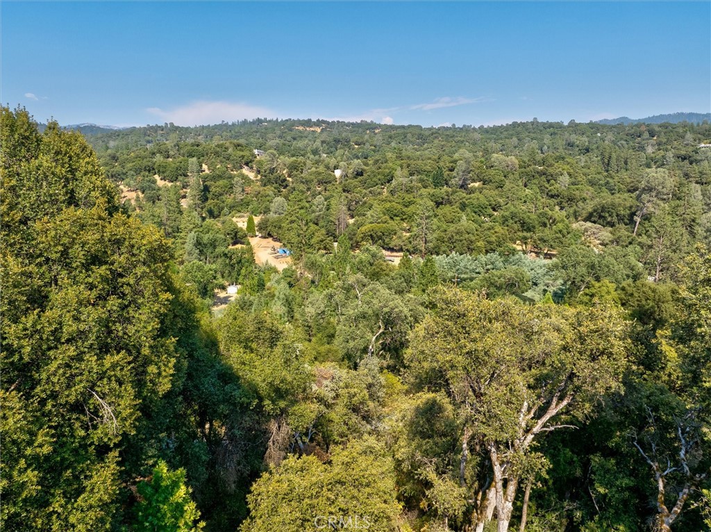 39309 Forest Park Ln, Oakhurst, CA 93644