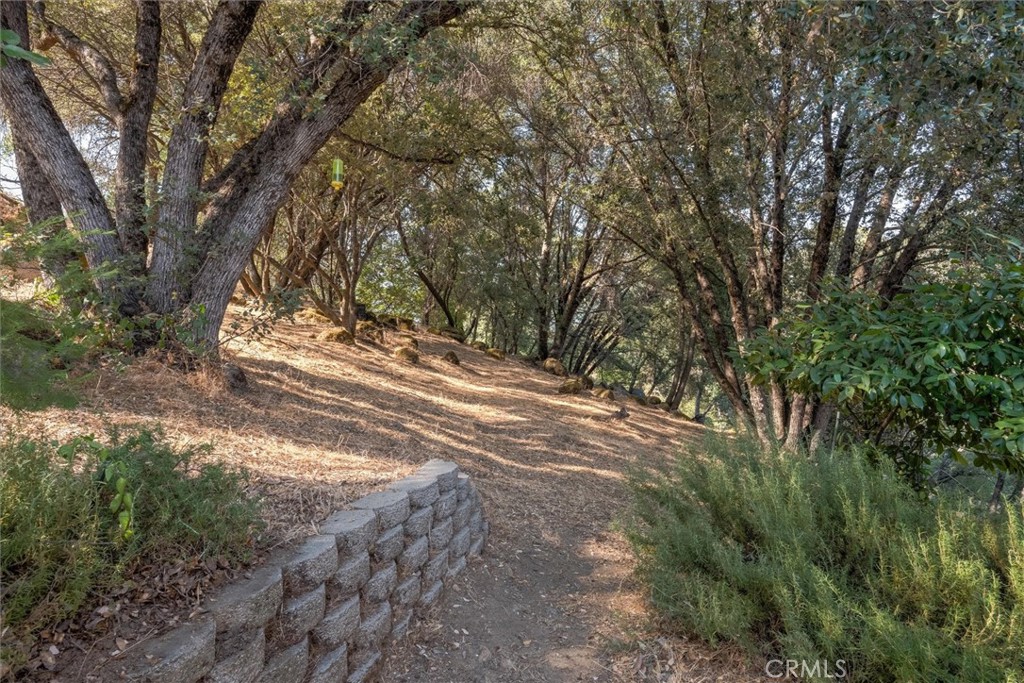 39309 Forest Park Ln, Oakhurst, CA 93644