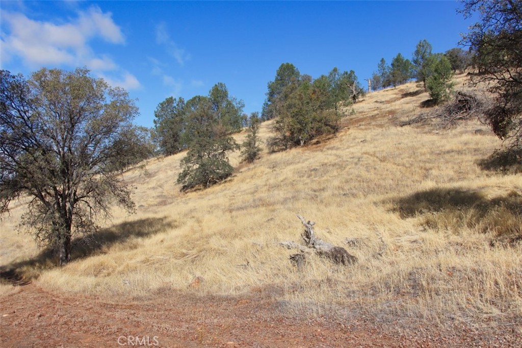 0 39.91 AC Road 400, Coarsegold, CA 93614