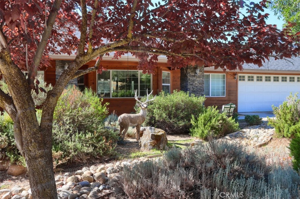 38788 Goldenrod Ln, Oakhurst, CA 93644