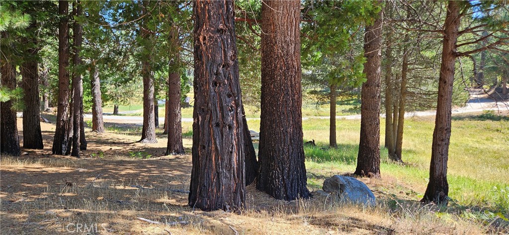 108 Forest Rd, North Fork, CA 93643