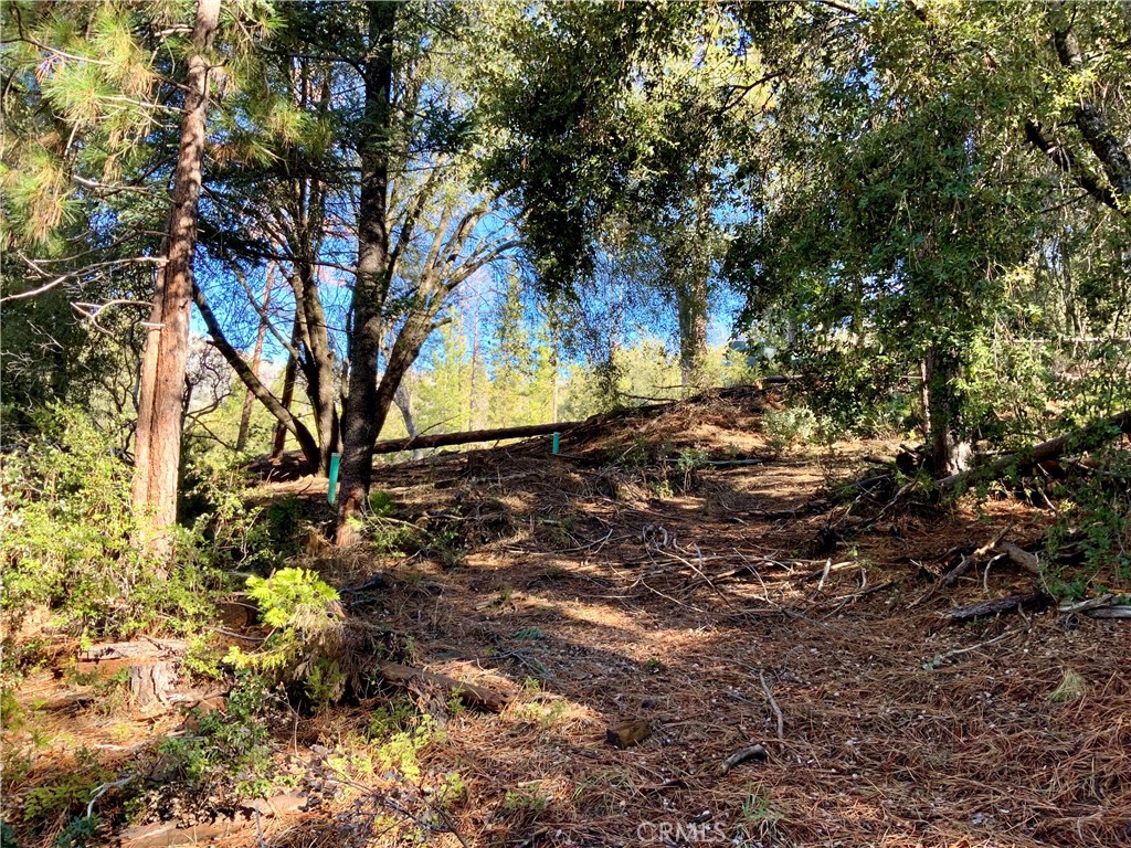 50963 Chu Ranch Rd, Oakhurst, CA 93644