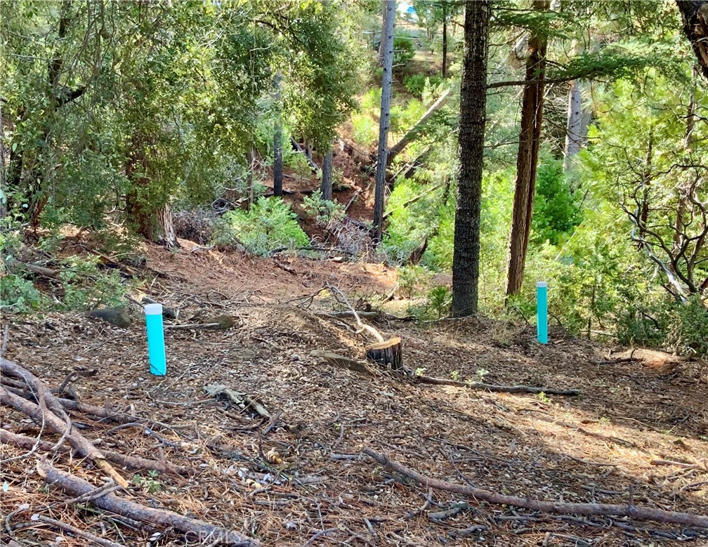 50963 Chu Ranch Rd, Oakhurst, CA 93644