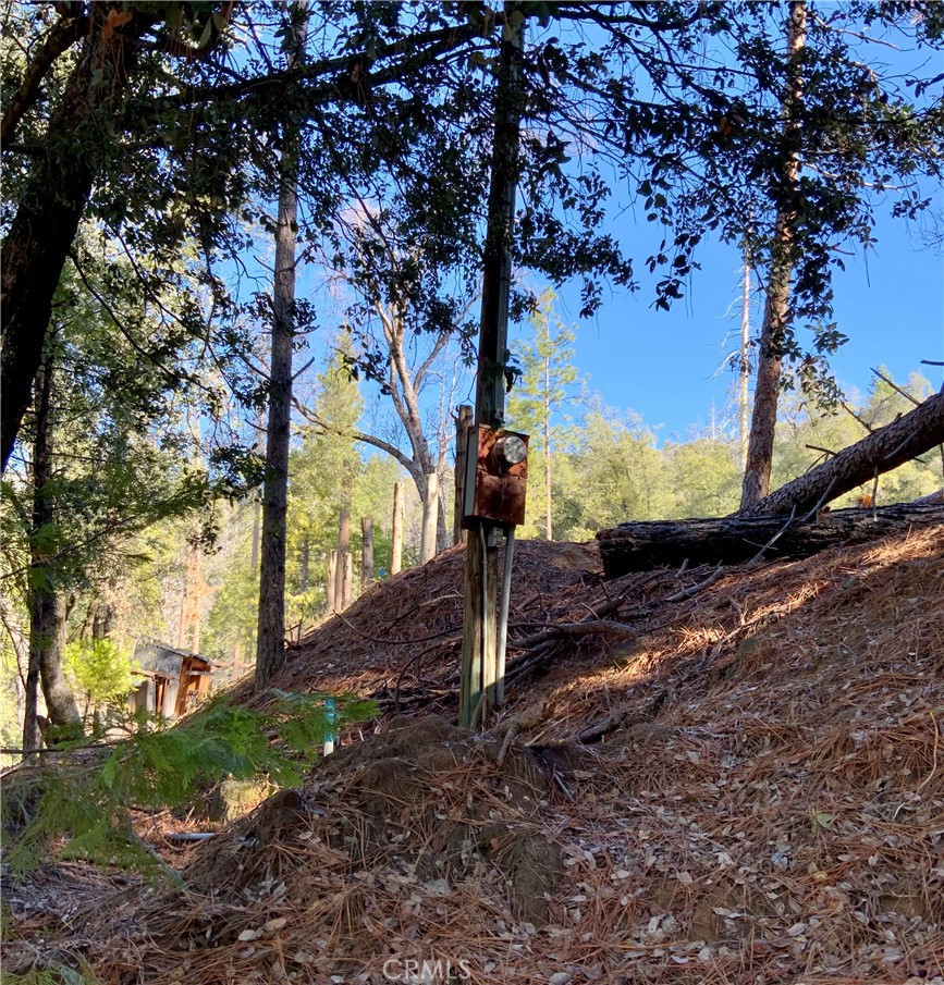 50963 Chu Ranch Rd, Oakhurst, CA 93644